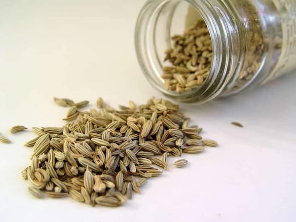 تصویر 5 از خرید و قیمت زیره سبز اصل + فروش عمده